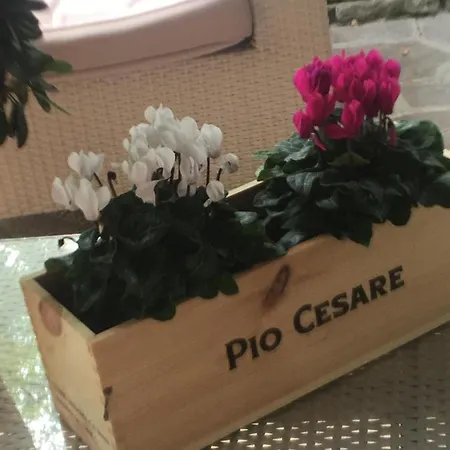 Ferienhaus Barbaresco: Nel Cuore Delle Langhe E Dei Suoi Vini